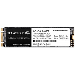 TEAMGROUP MS30 Disque SSD interne SSD M.2 256 Go